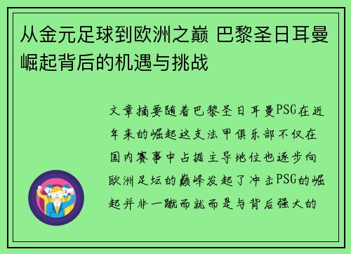 从金元足球到欧洲之巅 巴黎圣日耳曼崛起背后的机遇与挑战