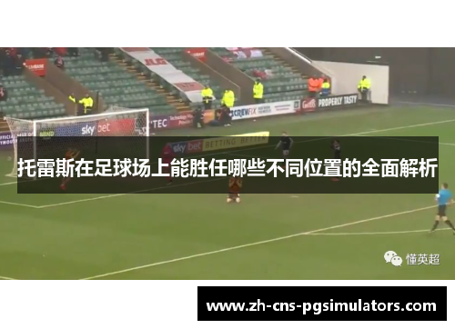 托雷斯在足球场上能胜任哪些不同位置的全面解析 托雷斯在足球场上能胜任哪些不同位置的全面解析