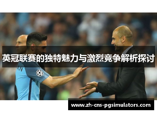 英冠联赛的独特魅力与激烈竞争解析探讨