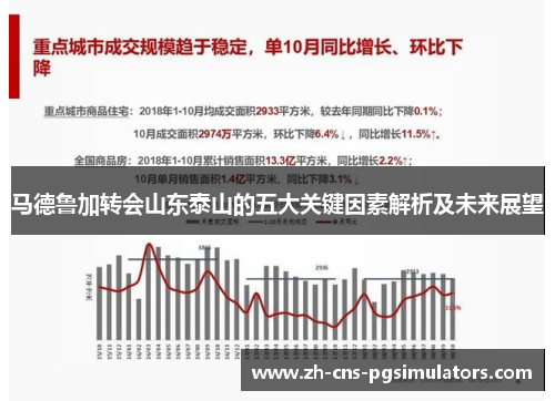 马德鲁加转会山东泰山的五大关键因素解析及未来展望 马德鲁加转会山东泰山的五大关键因素解析及未来展望