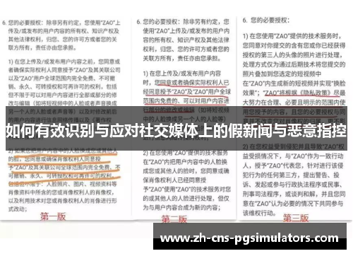 如何有效识别与应对社交媒体上的假新闻与恶意指控