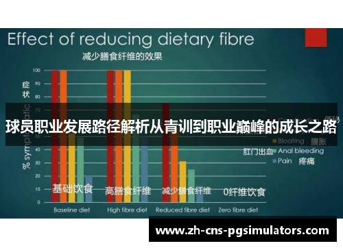 球员职业发展路径解析从青训到职业巅峰的成长之路